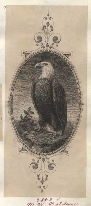 Proof, vignette, Eagle