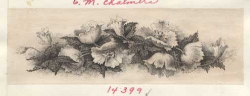 Proof, vignette Poppies