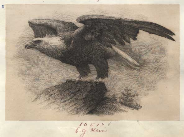 Proof, vignette, Eagle