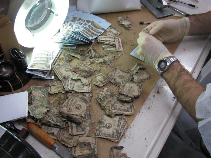 A Mutilated Currency Redemption Specialist examines damaged currency to determine its value.
