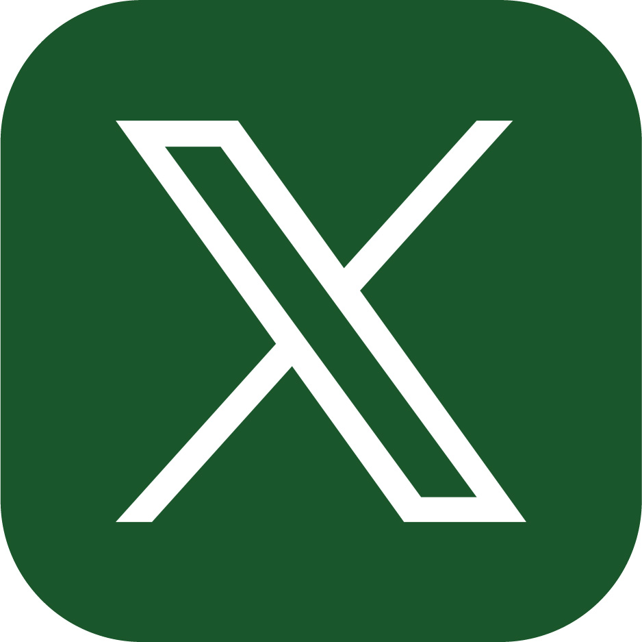 X Icon