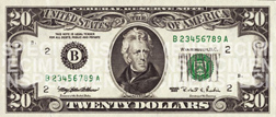 $20 Note
